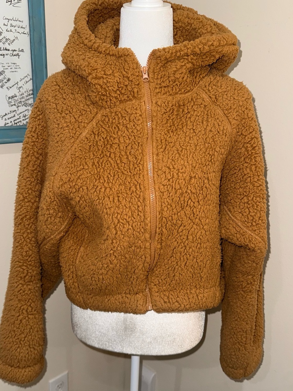 wild fable Camel Teddy Hooded Zip Jacket